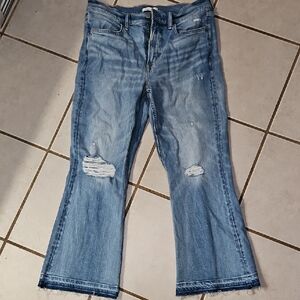 American Eagle Outfitters Light Blue Flare Jeans